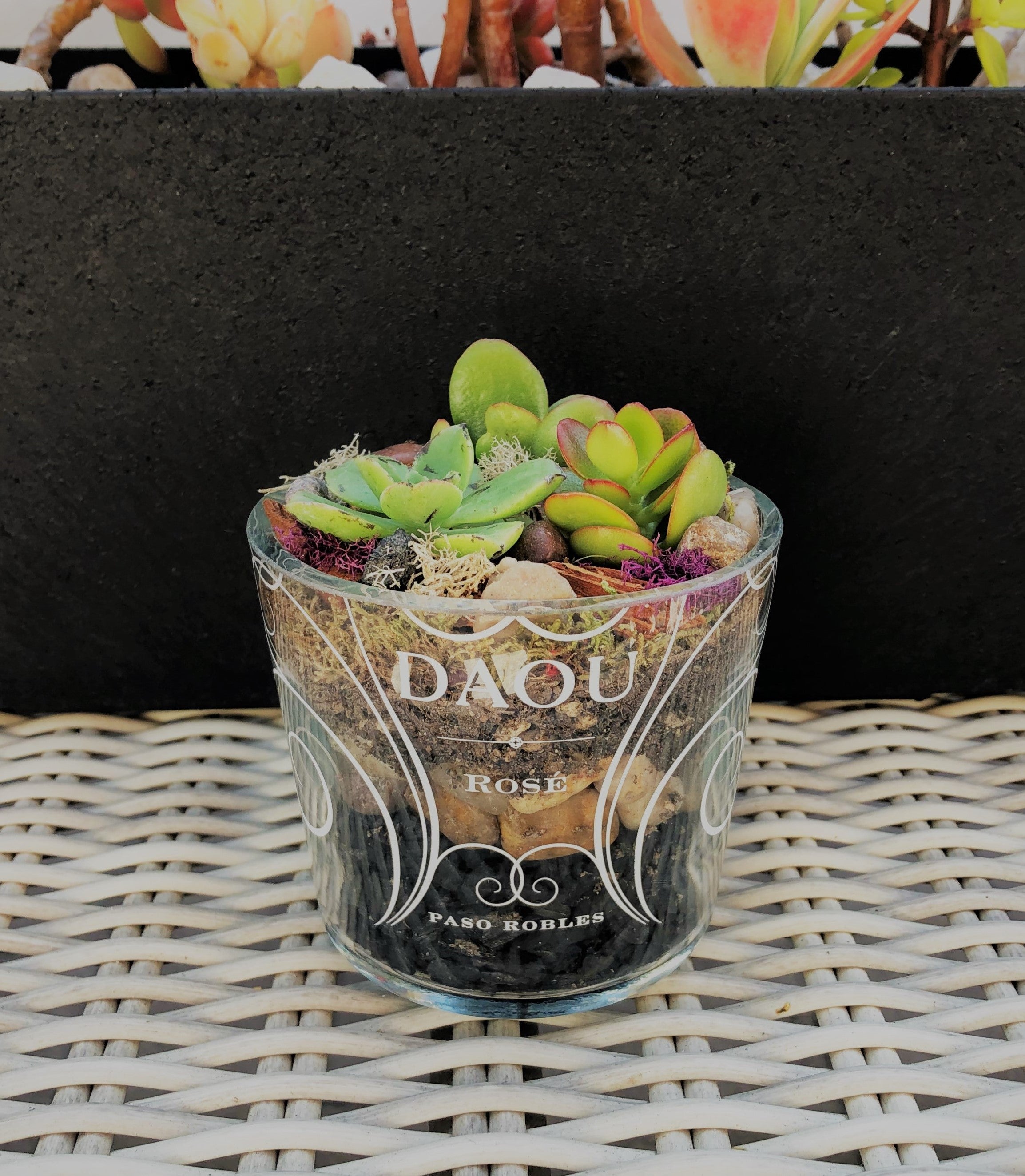 Recrafted Designs_Upcycled Daou wine bottle terrarium