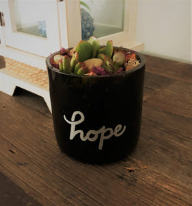 HOPE - Amber Wine Bottle Succulent Terrarium