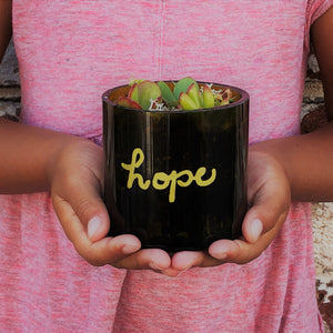 HOPE - Amber Wine Bottle Succulent Terrarium