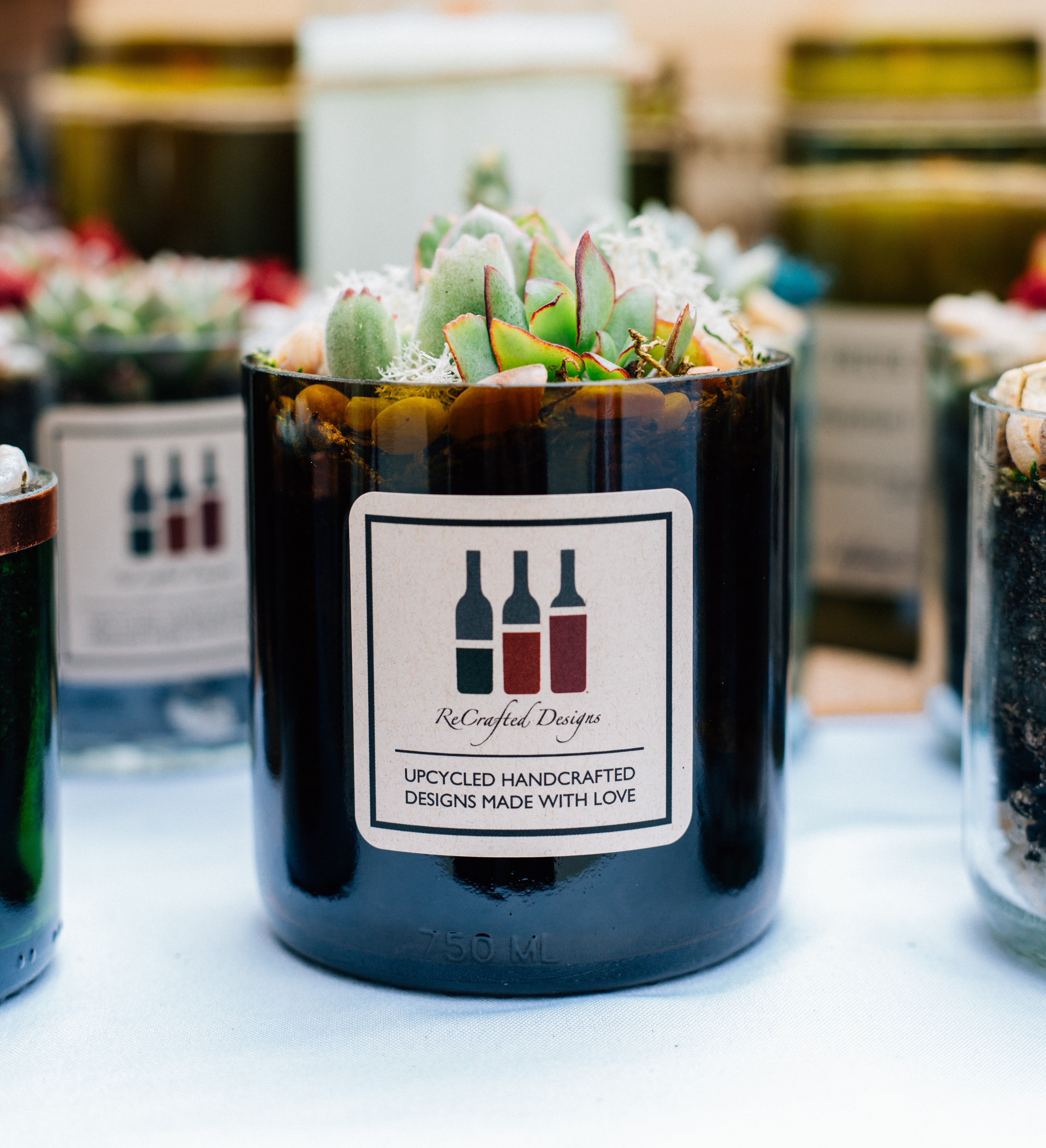 ReCrafted Designs Recycled Wine Bottle Succulent Terrariums