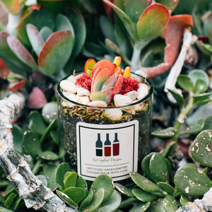 Upcycled Wine Bottle Succulent Terrariums