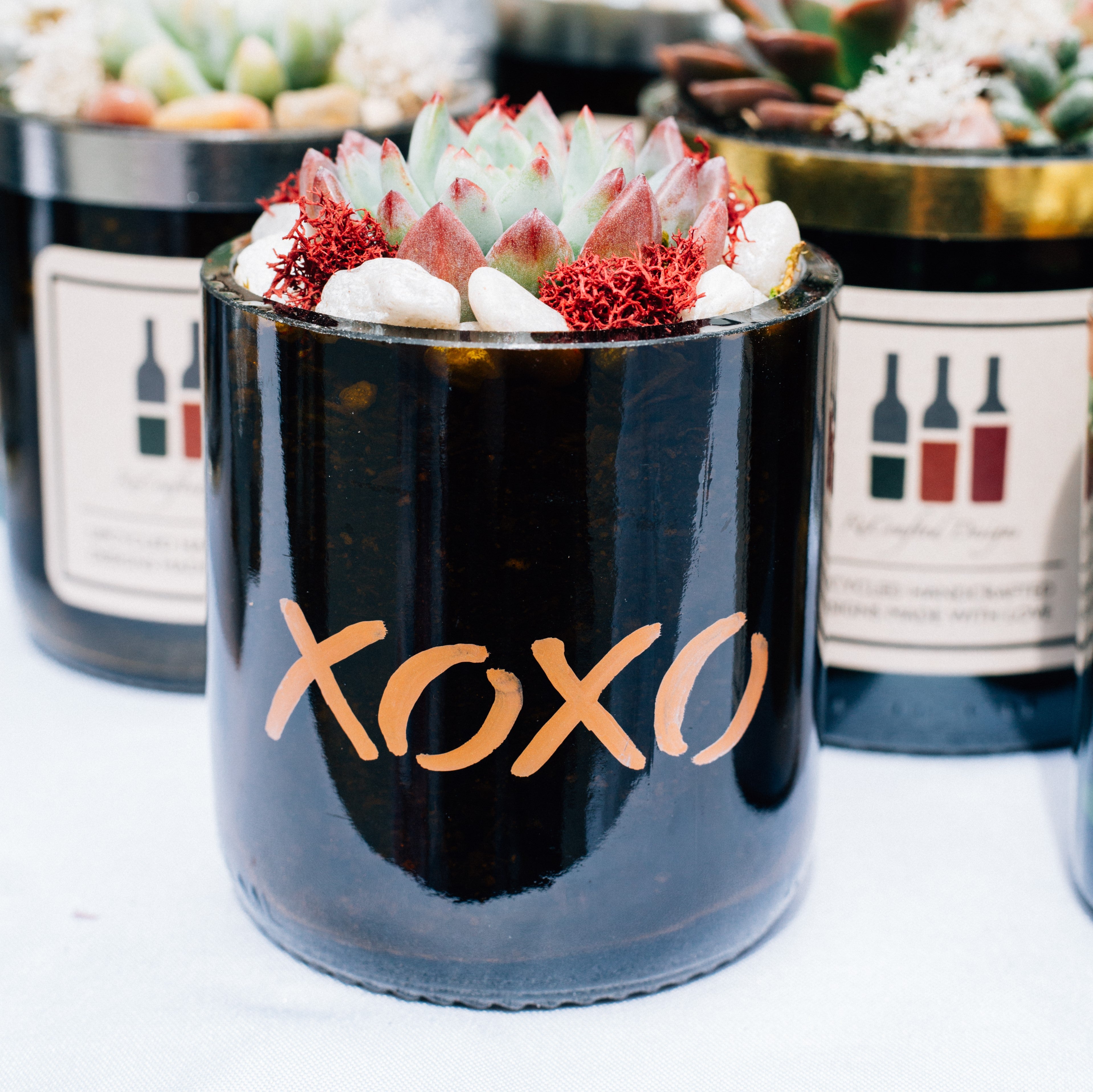XOXO - Amber Wine Bottle Succulent Terrarium